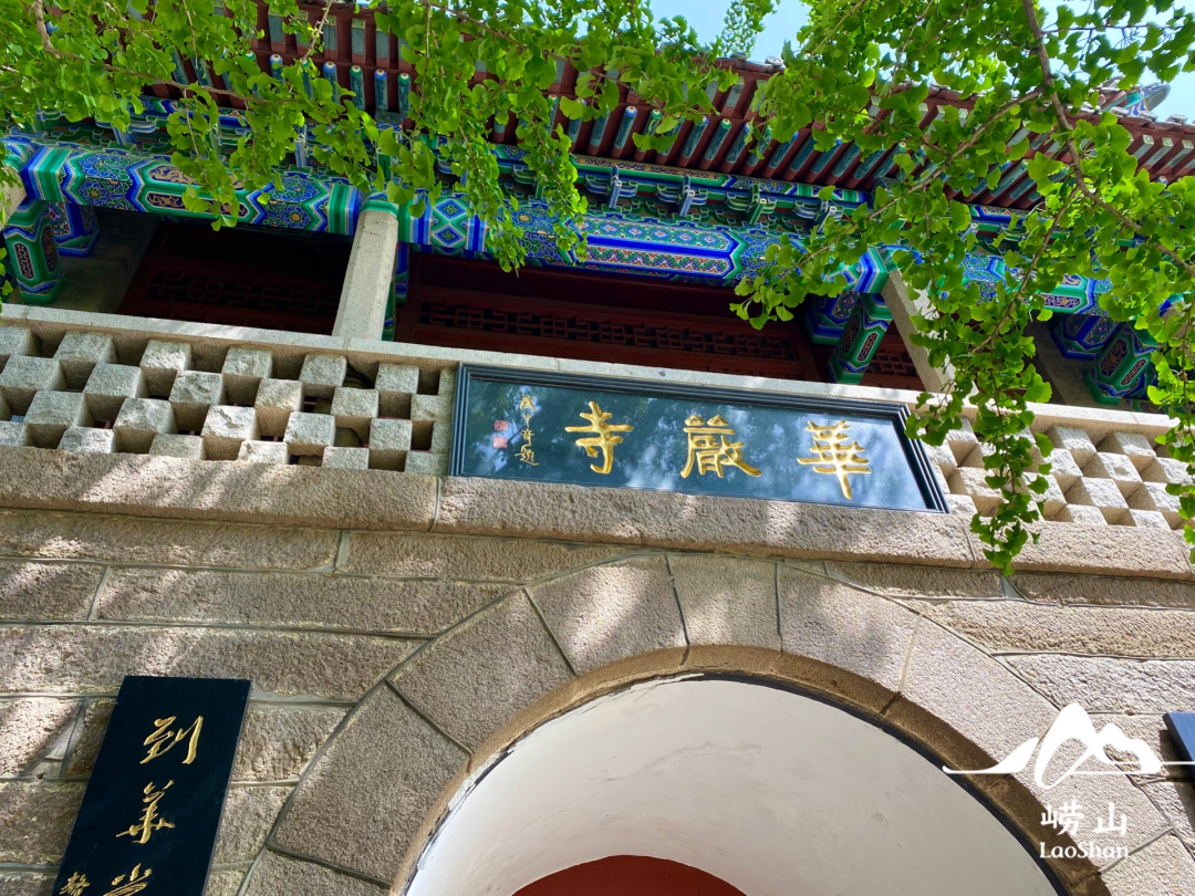 先预约再出行！“粽”情崂山，端午假期攻略请查收