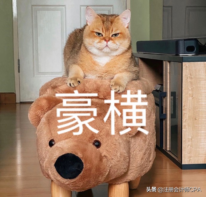 注册会计师考试攻略（2022注会目标）