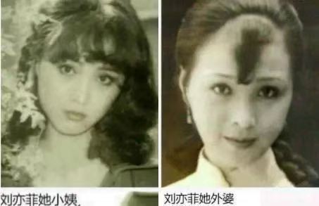 刘亦菲的妈妈刘晓莉：放弃婚姻与事业，为女儿背20年黑锅不辩解