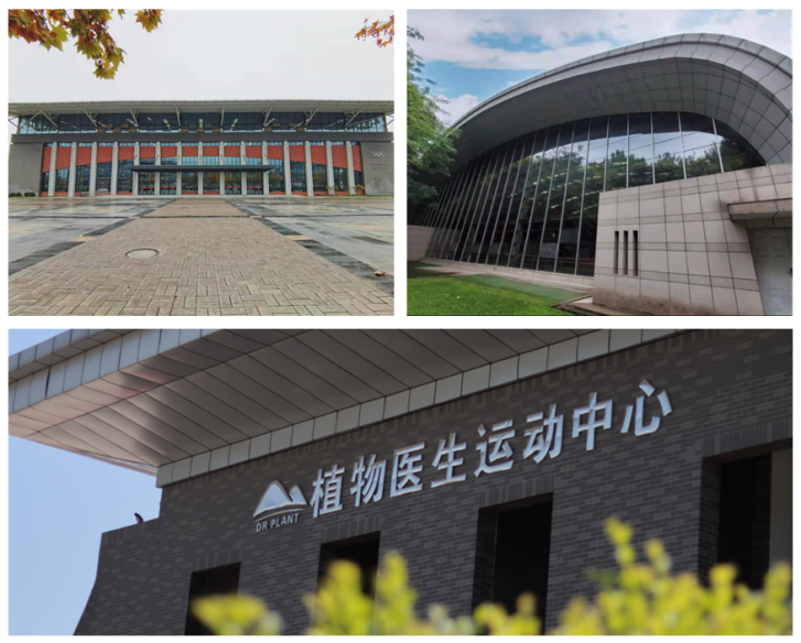 气温攀升！这所陕西高校：清爽宜人美景如画，还坐拥网红咖啡馆