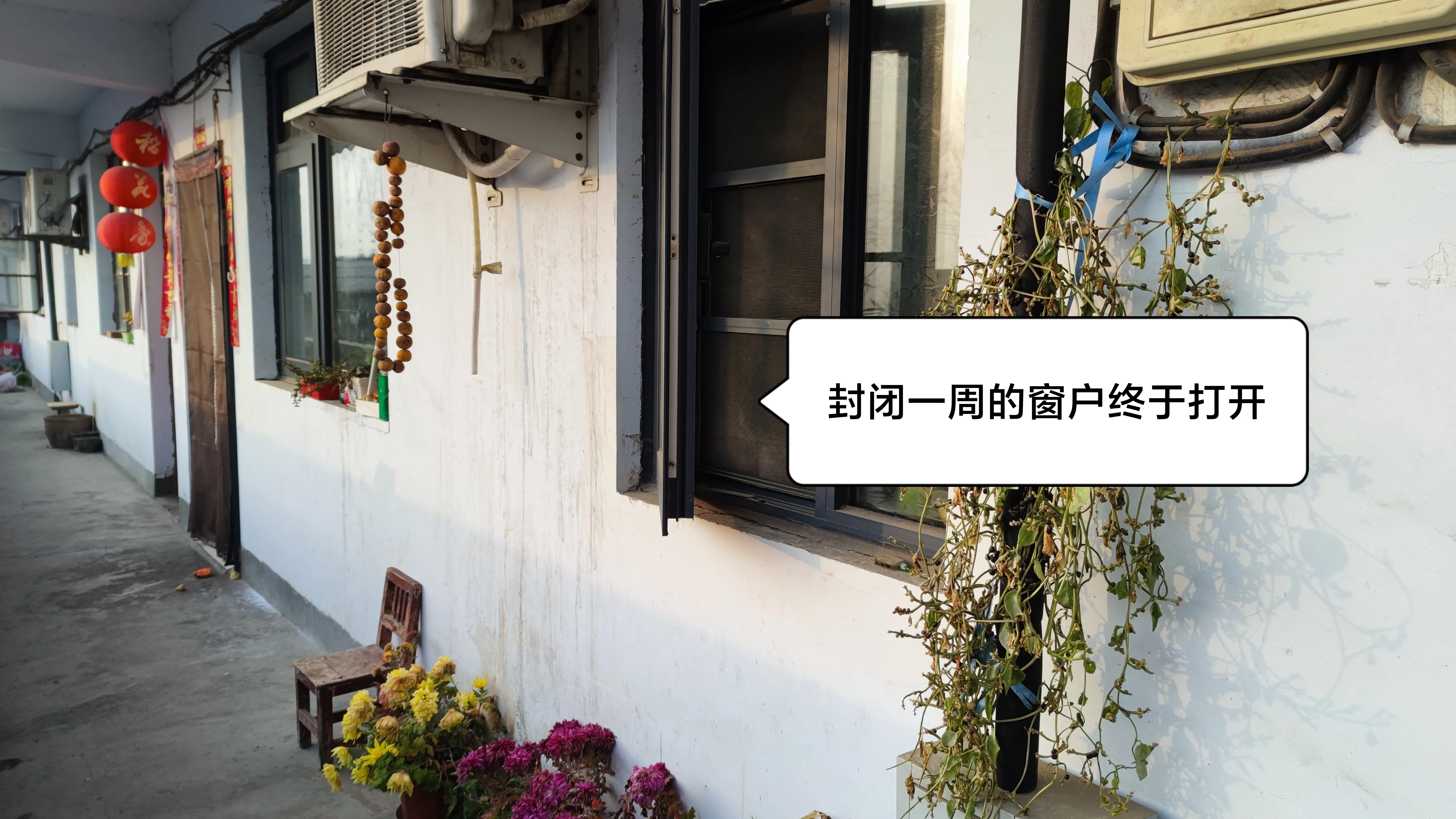 向来喜欢开窗通风的邻居家，近一周来门窗紧闭，一家四口在屋内少了平日里的欢声笑语