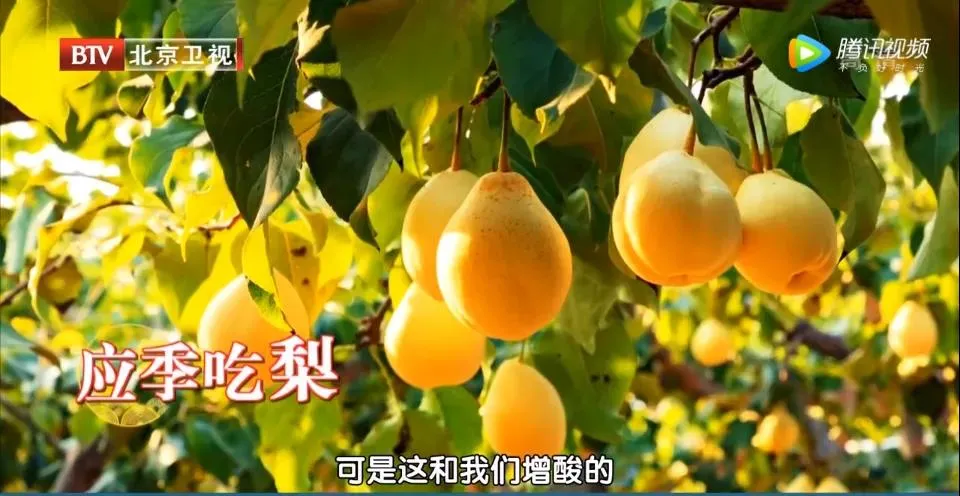 冬季咳嗽、上火、便秘,这份“水果清单”值得收藏