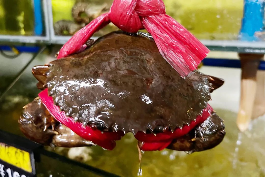 为了这些美食就值得去海南万宁！这四家特色餐厅，哪个都不能错过