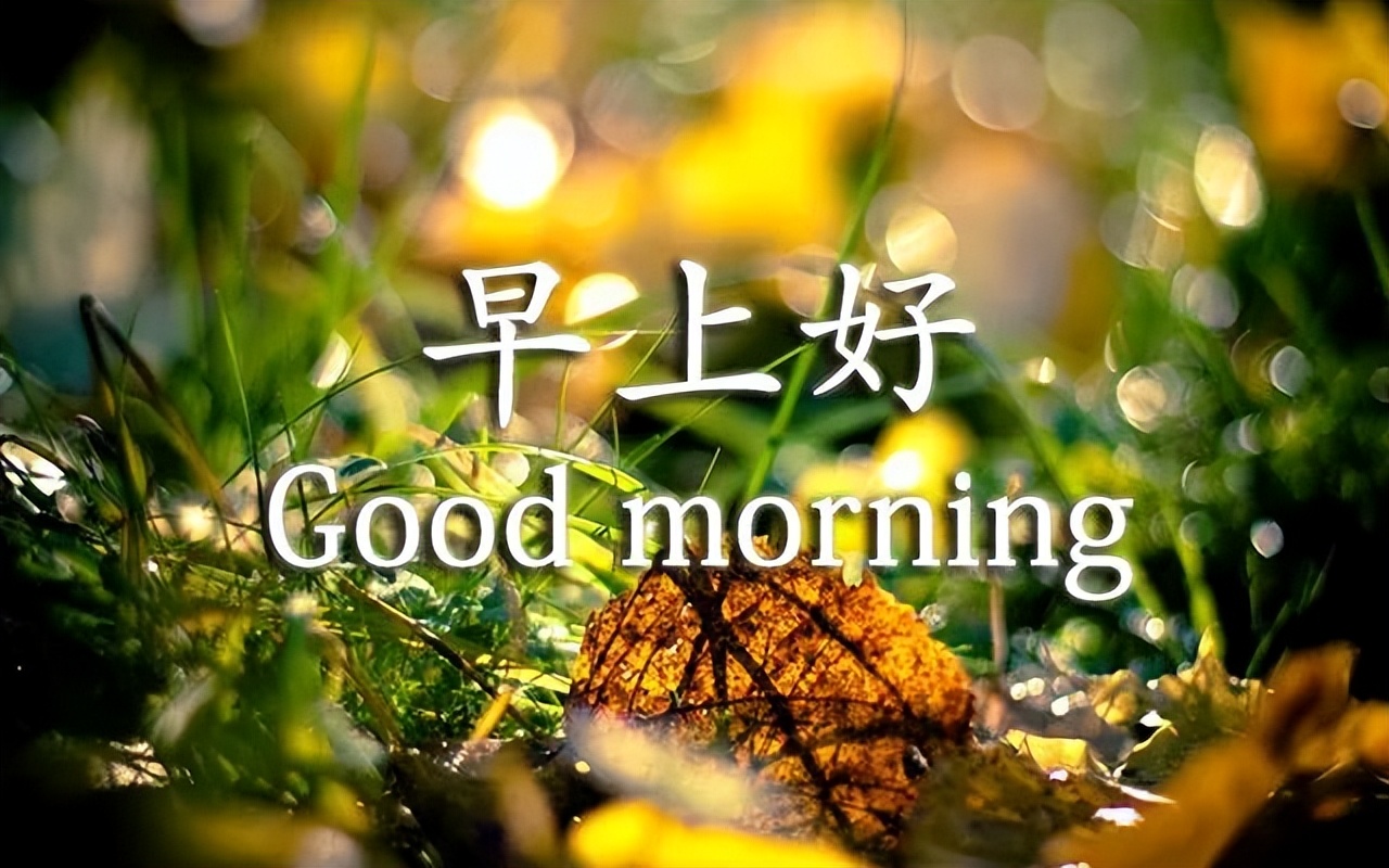 周六更新早上好表情包，秋日渐凉，愿你平安，早安吉祥，幸福安康图片