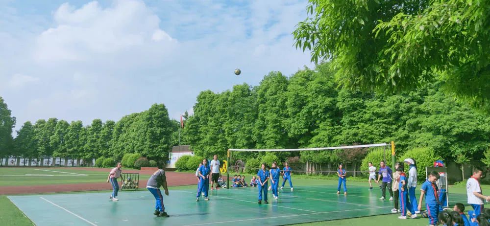 活力金小迎大运 阳光排球伴成长｜金桥小学排球联赛正式拉开帷幕