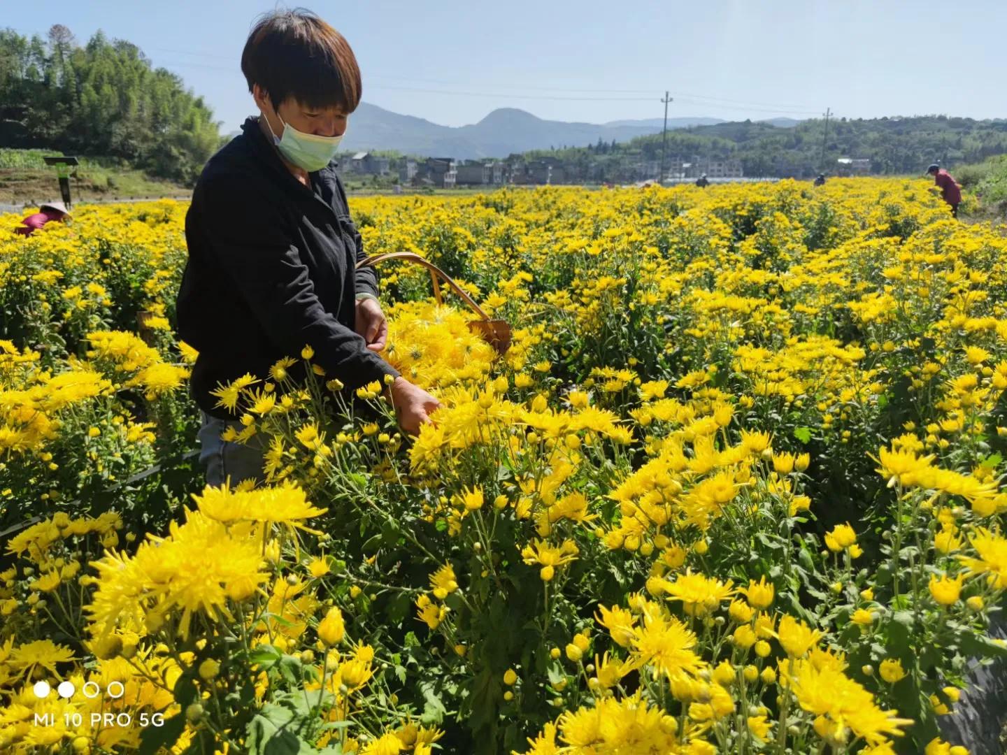 浙江山友天然食品有限公司概况