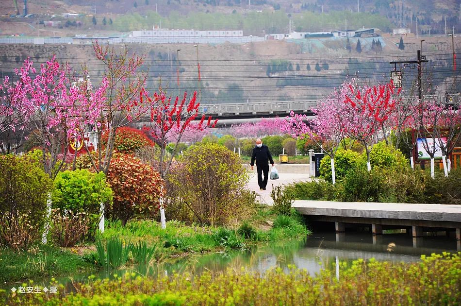 疫情挡不住春天的脚步，小编带你去看古城秦州的春暖花开