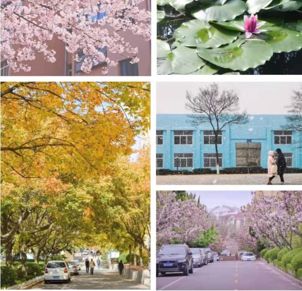 山东这所大学“含金量”超高！揽获600余项全国大奖，走出开国元勋！