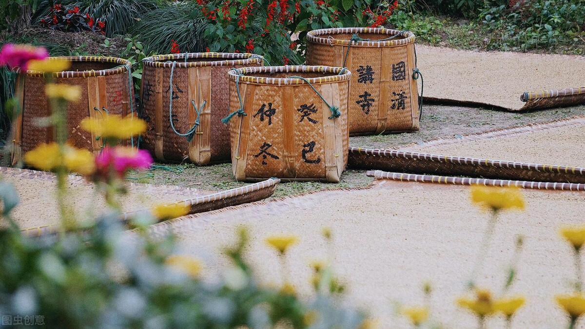 应届大学生入伍后，想在部队里发展，有哪些出路可以选择呢？