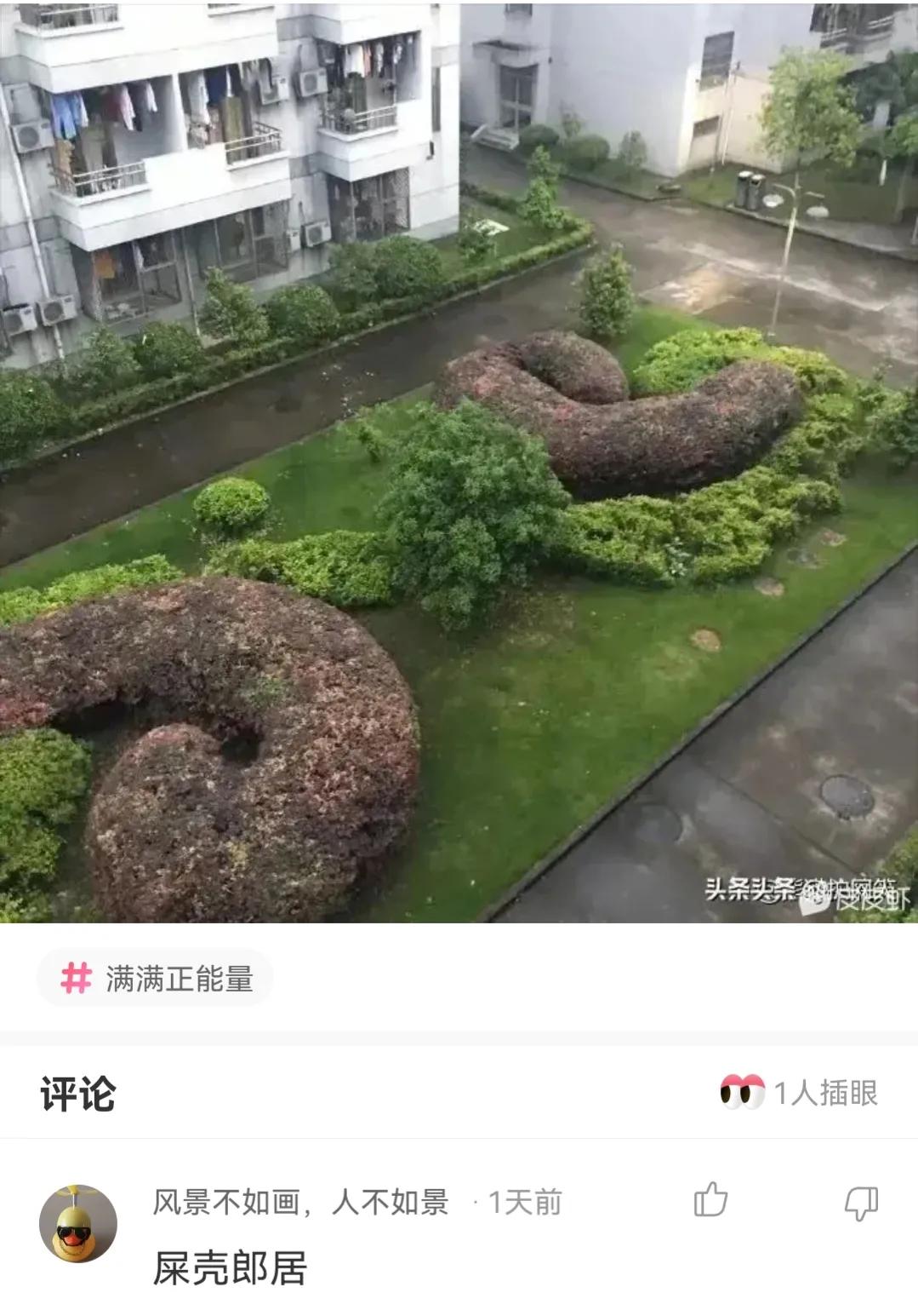 神回复，疫苗接种两个月后怀孕了，还吃了感冒药，孩子还能要吗？