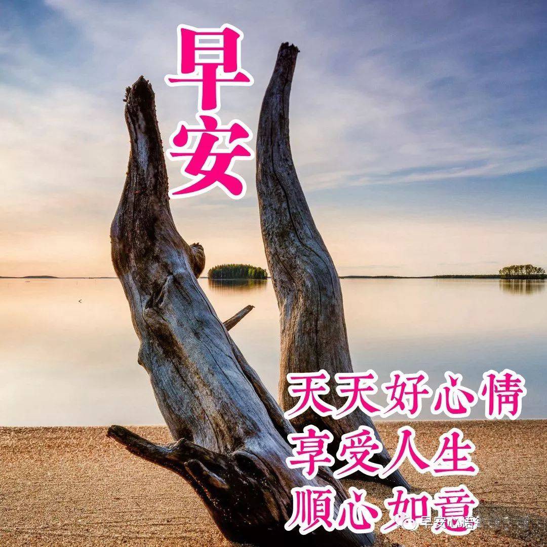 星期二早上好表情包，每天问个好，快乐多一秒，疫情无情人有情图片