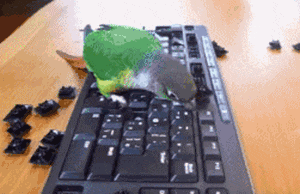 爸，你旁边的叔叔好帅，爸爸：这是你妈，网友当场笑喷了，哈哈哈