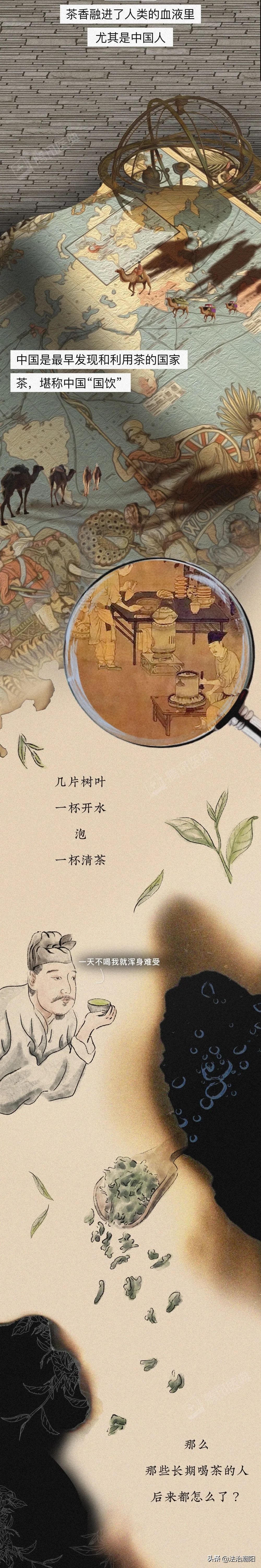 长期喝茶，身体会有什么变化？