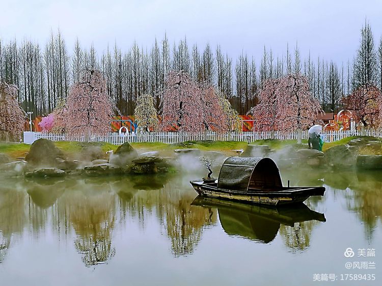 烟雨蒙蒙问花村 作者：武术兰