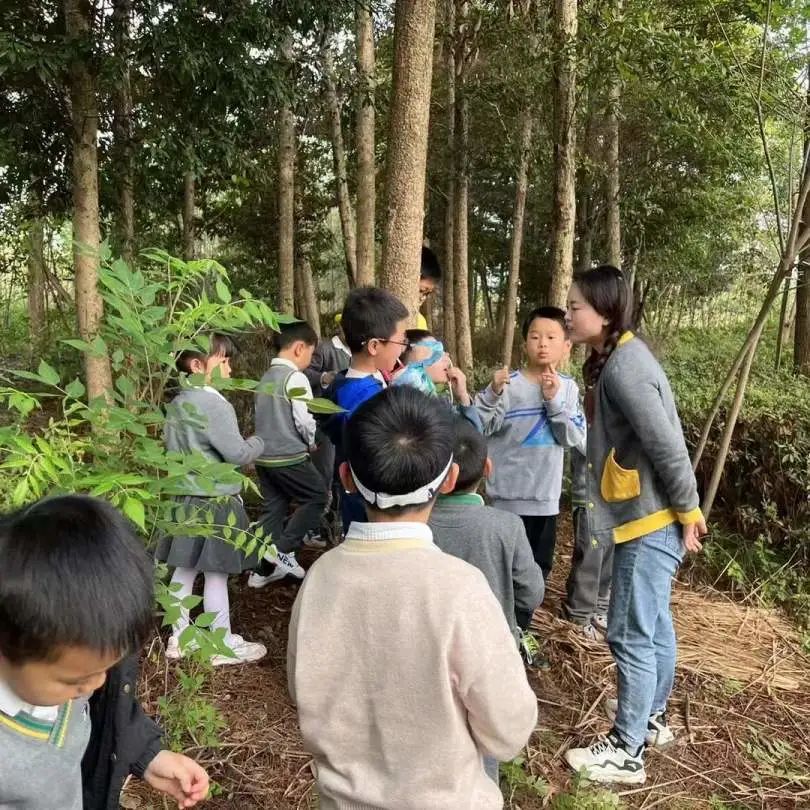 汉服体验、美食大赏、亲近野生动物……这样的春日活动真让人羡慕