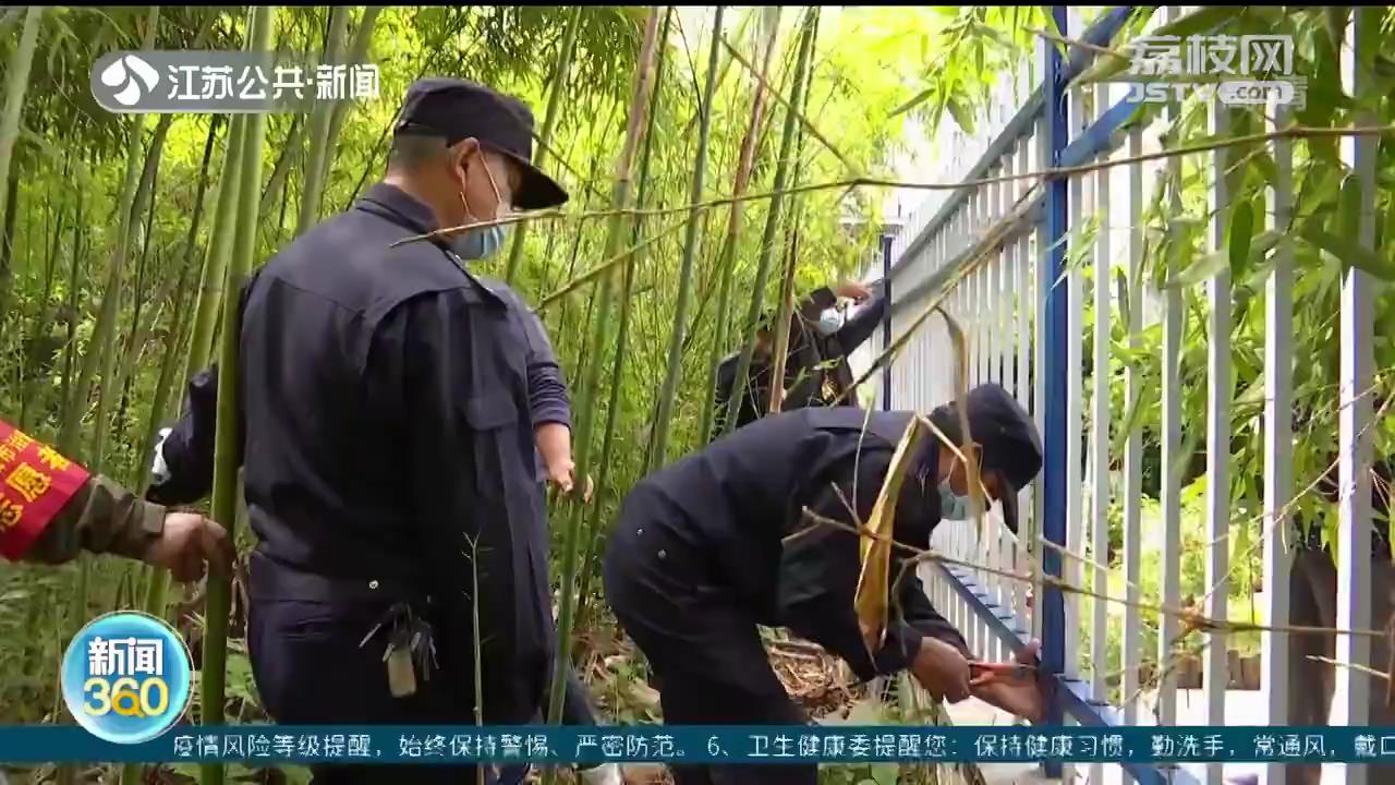 公共绿地成一楼业主“私家院子”？城管：涉嫌侵占，拆除恢复原样