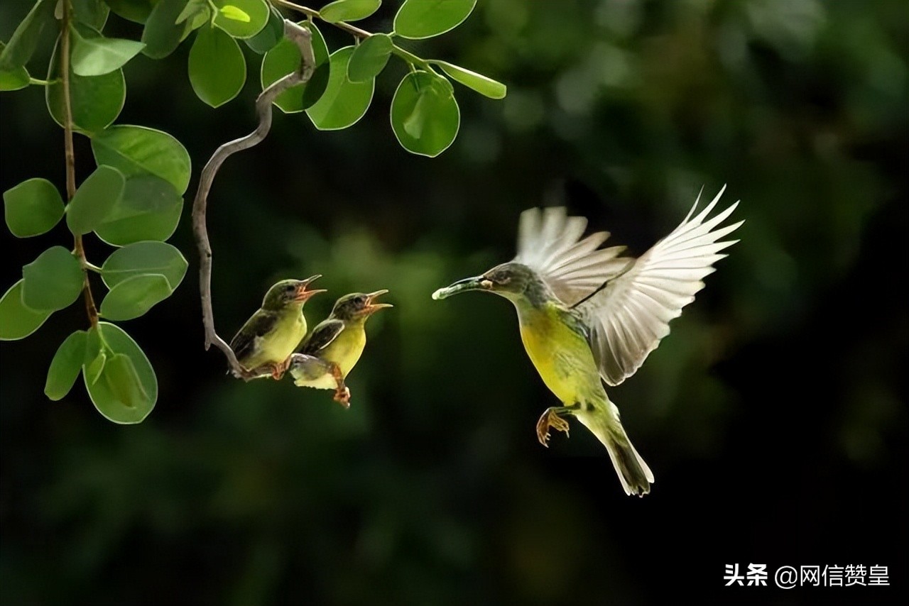 十首古诗致青春：愿我们出走半生，归来仍是少年