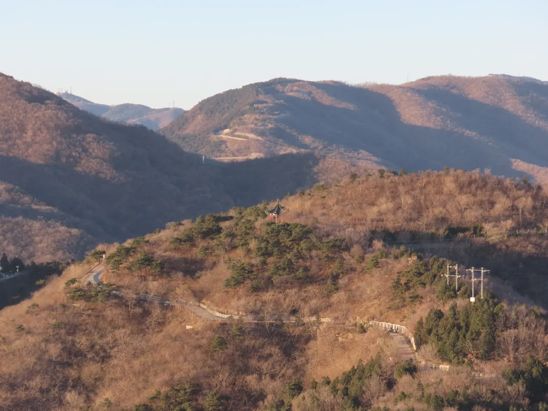 静美如诗，鸟鹊鸣啭，尽赏北京百望山冬日画卷~