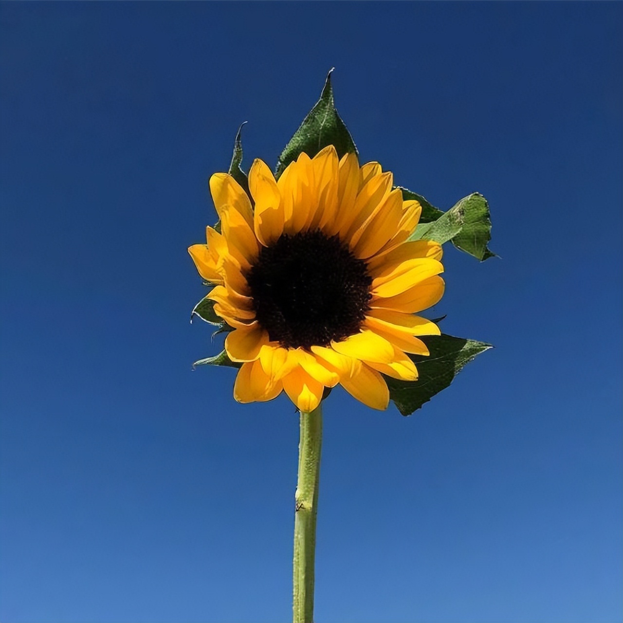 很经典的人生感悟语录