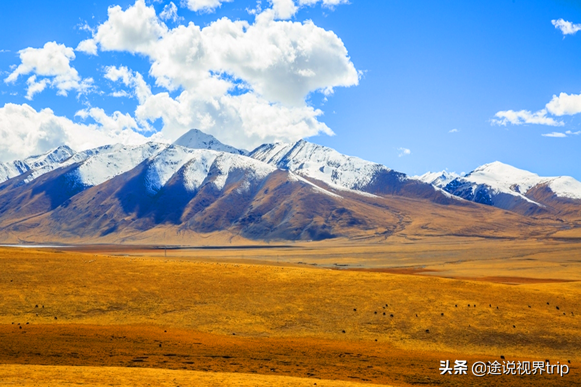 中国十大最美草原排名，新疆有两个上榜，让人去了就不想走的地方