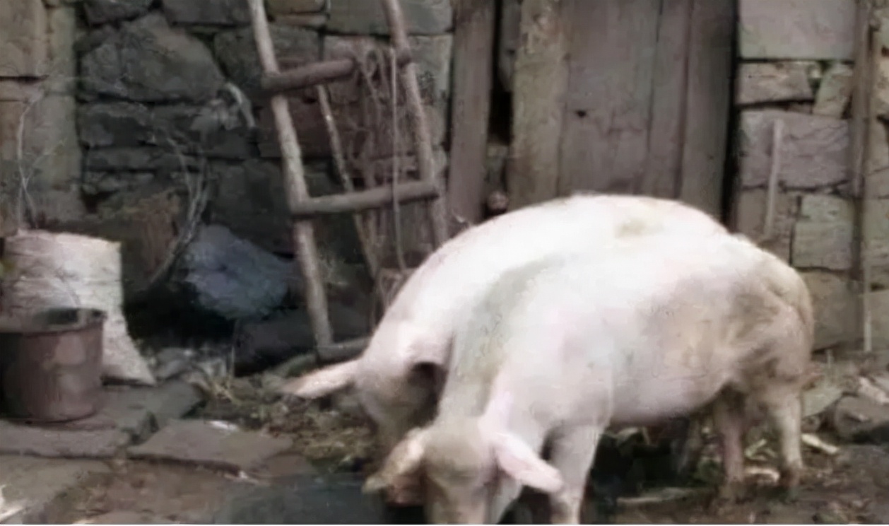 80年代，一位东北公交司机声称自己能把“水变油”，后来怎样了？