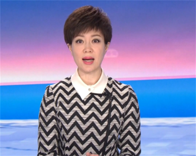 48岁央视主持李文静，戴假发10多年，与老公一直坚持成为丁克一族