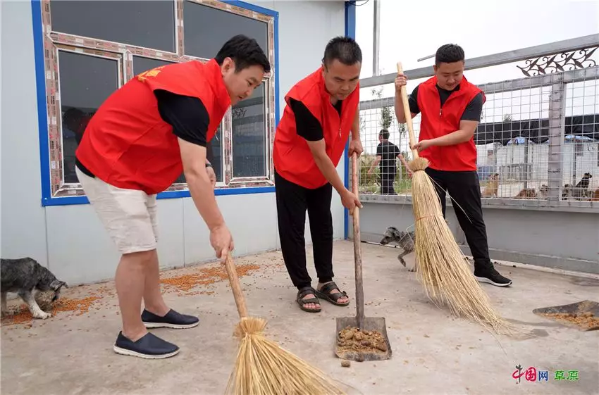 首发mv丨呼斯楞《流浪狗日记》:以领养代替购买 ,给ta一个家