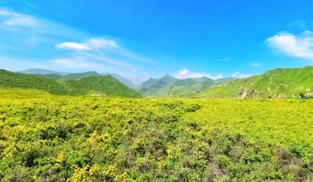 個鋪滿陽光的地方也是一個被上帝寵愛的旅遊天堂在這塊古老而美麗的土