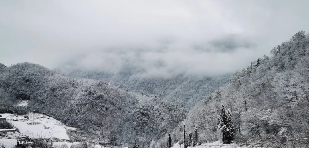 寒风刺骨，雪落无声，冬日的静谧裹着冷意悄然降临。