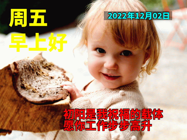 一声早上好，愿友开心整天、幸福每一天，一声祝福、一生朋友图片