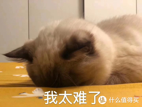 2022实木家具选购攻略指南！4大升级趋势详解！松木榉木哪种好？
