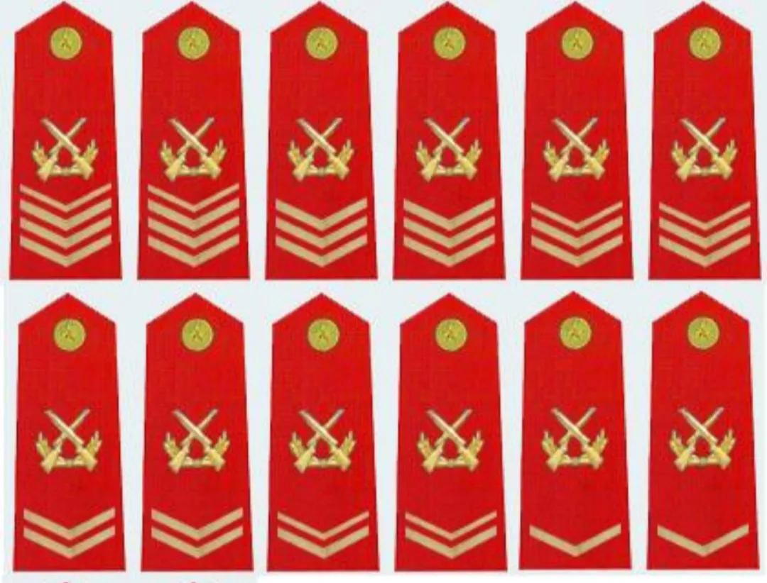 毛启国:武警07式"士官警衔"肩章鉴赏