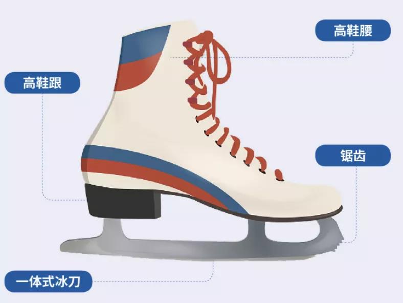 最初的“冰刀”竟然是骨头做的？| 科学密探
