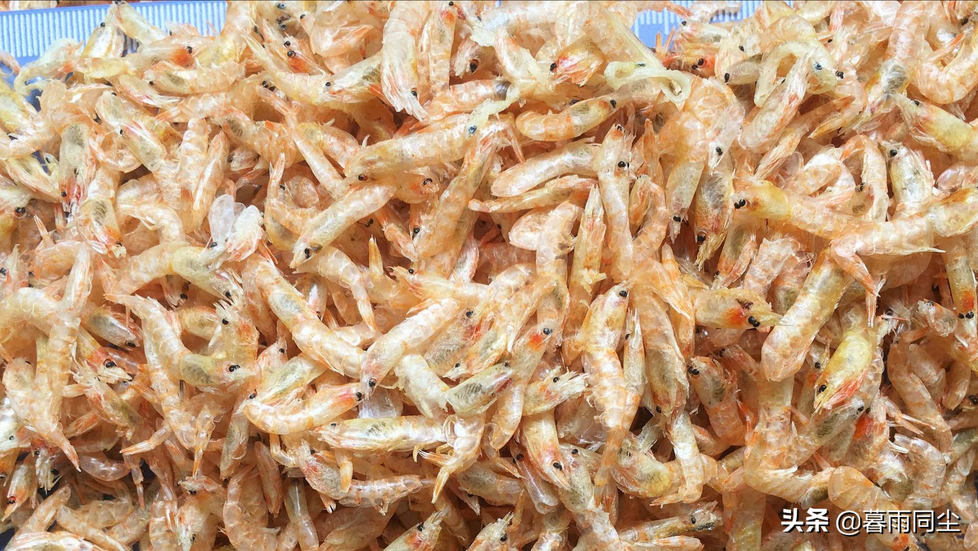 罐头、MRE、压缩干粮、冻干、脱水食物，五类应急食品优缺点对比