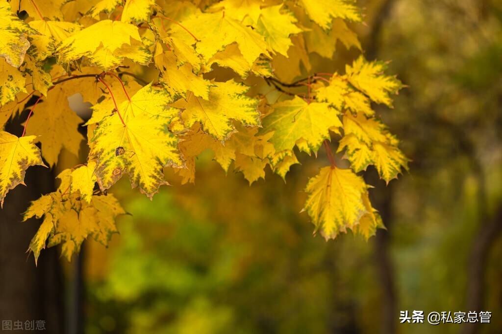 愿有生之年，只诉温暖，不言殇，倾心相遇，安暖相陪