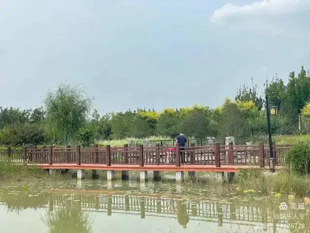 铁兵美文 | 农村新面貌 我写“说说”赞