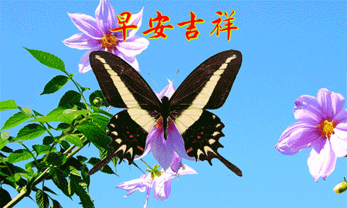 星期四特别适合发漂亮发朋友圈的早上好图片，平安吉祥、幸福满满图片