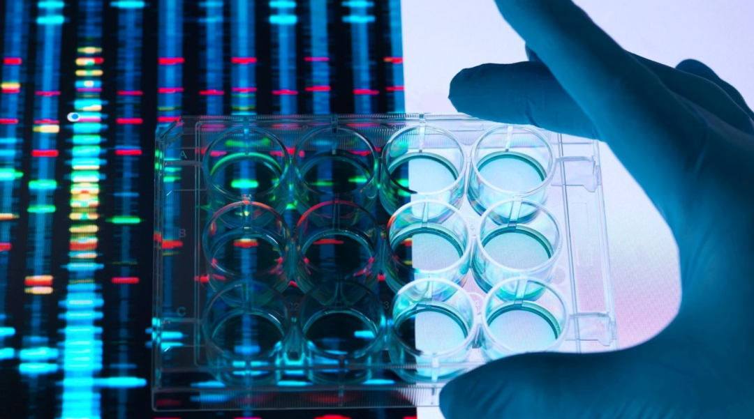 Cerebras Systems和HPE携手打造新一代AI系统