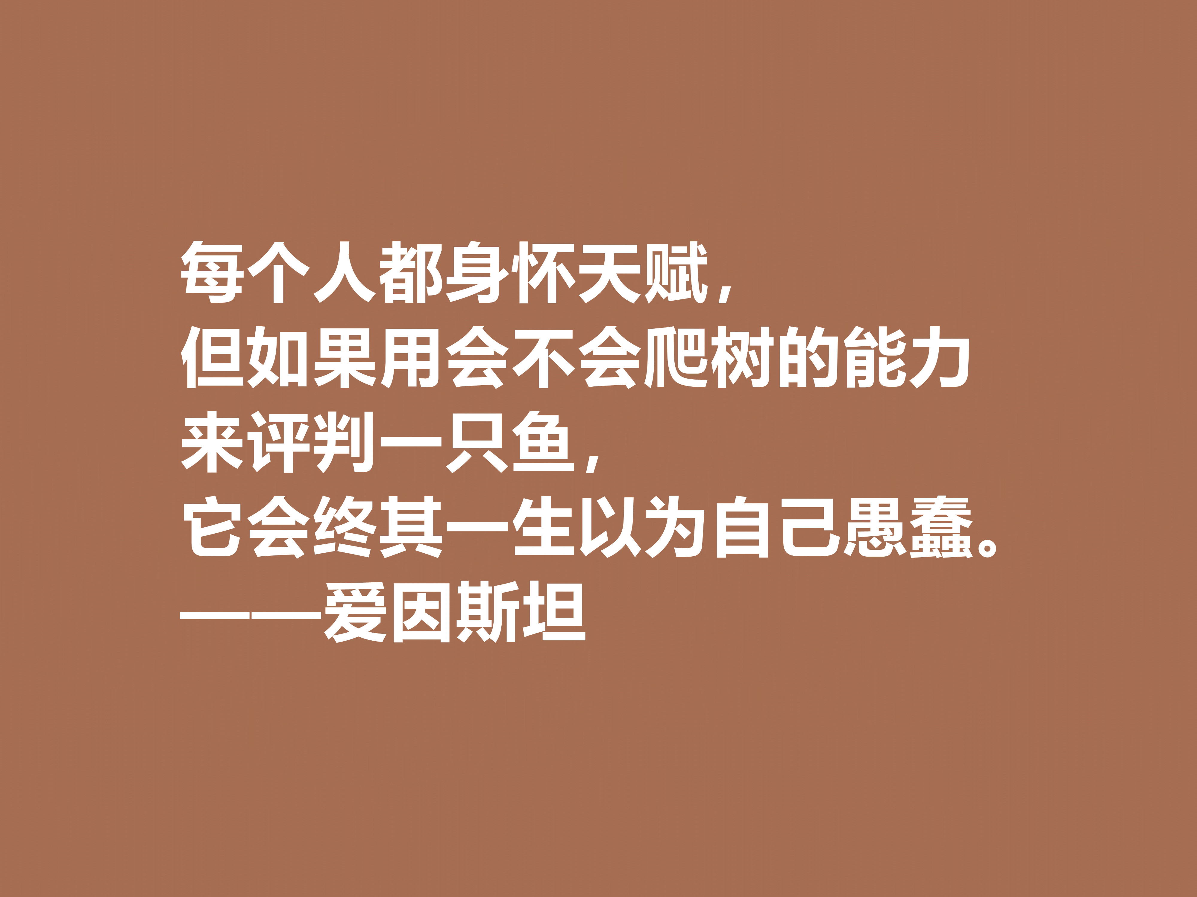 伟大的爱因斯坦与霍金，读他们的十句格言，充满人生哲理，收藏了