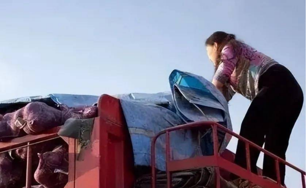 中国1000万卡车夫妇真实生活：24小时吃住都在车上，货比命更重要
