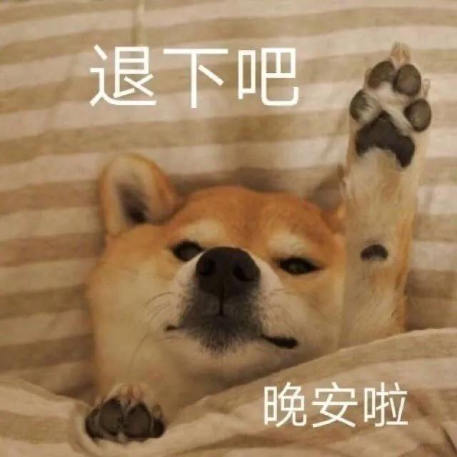 晚安好梦，盖好小被子