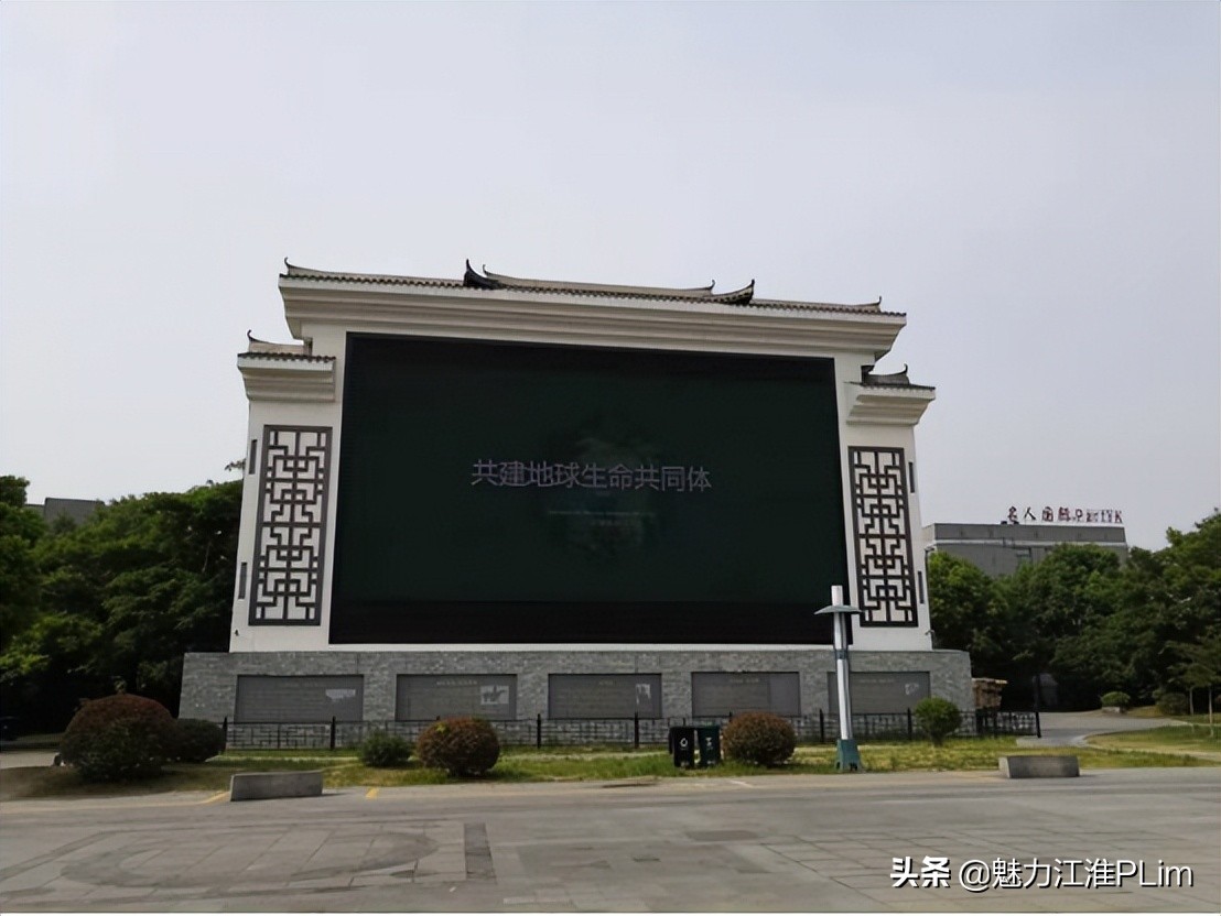 淮南寿县开展2022年国际生物多样性日主题宣传活动