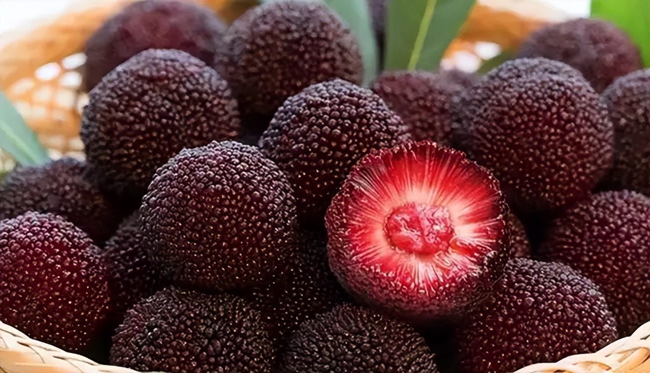 杨梅因口感酸甜,味道鲜美,而且价格也不贵,所以在平时有不少人喜欢买