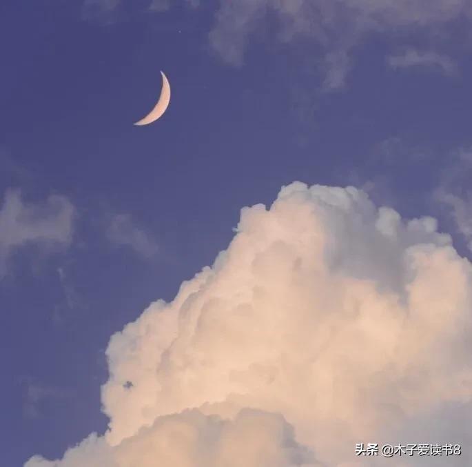 四年级下语文知识清单