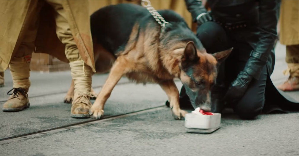 纹眉植发大红唇，手枪比肩迫击炮，想不到胡军还能接这种抗日神片