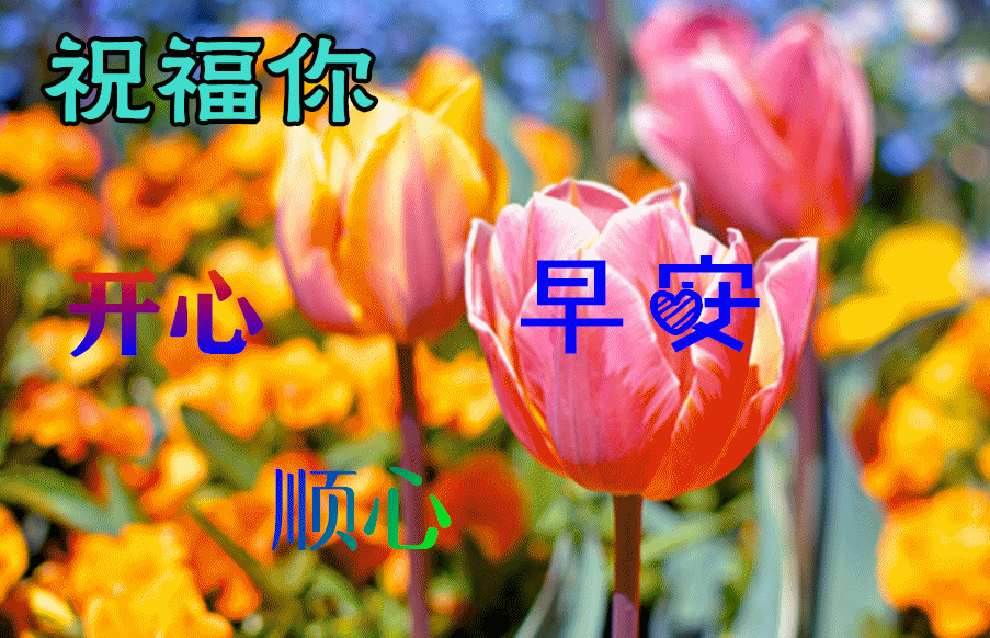 「2022.05.23」早安心语，正能量问候语 激励人心的朋友圈短句文案