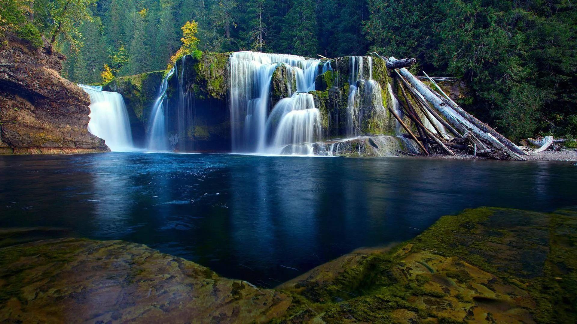 忘我的境界,才是人生的至高境界,淡泊宁静,荣辱不惊,去留无意