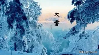 鹧鸪天幽兰赋(鹧鸪天·大雪赋)