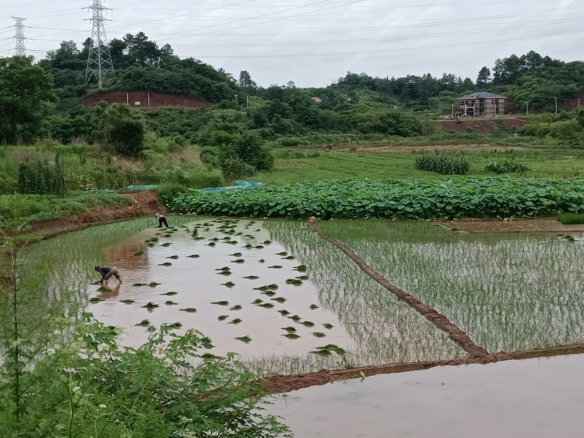 湖南工学院：助力新龙，静待花开