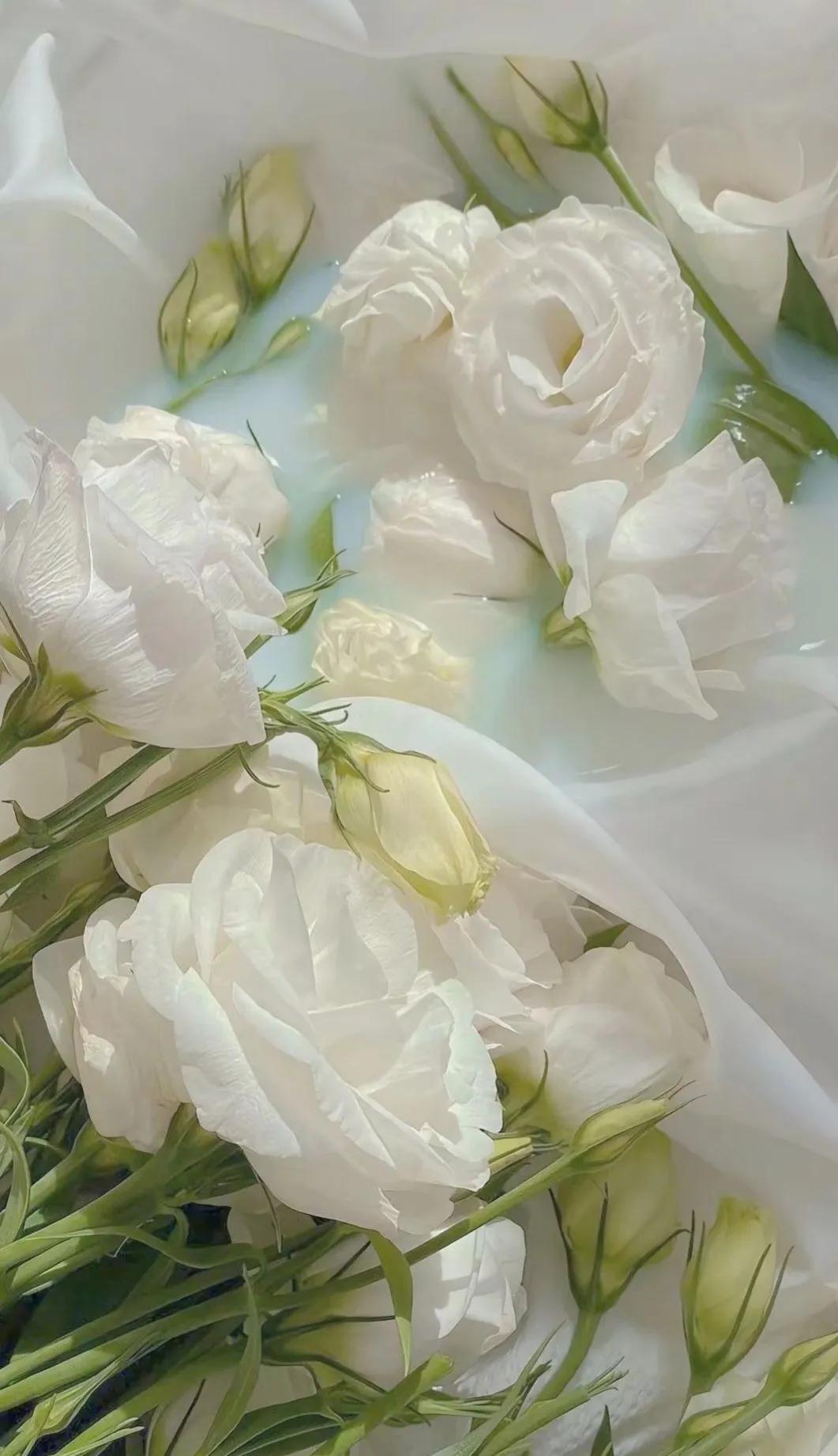 致自己的霸气句子:适合做心情签名